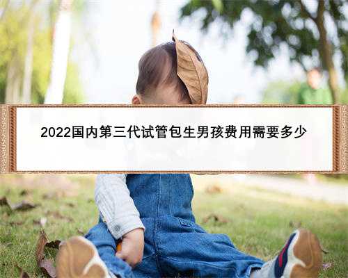 2022国内第三代试管包生男孩费用需要多少